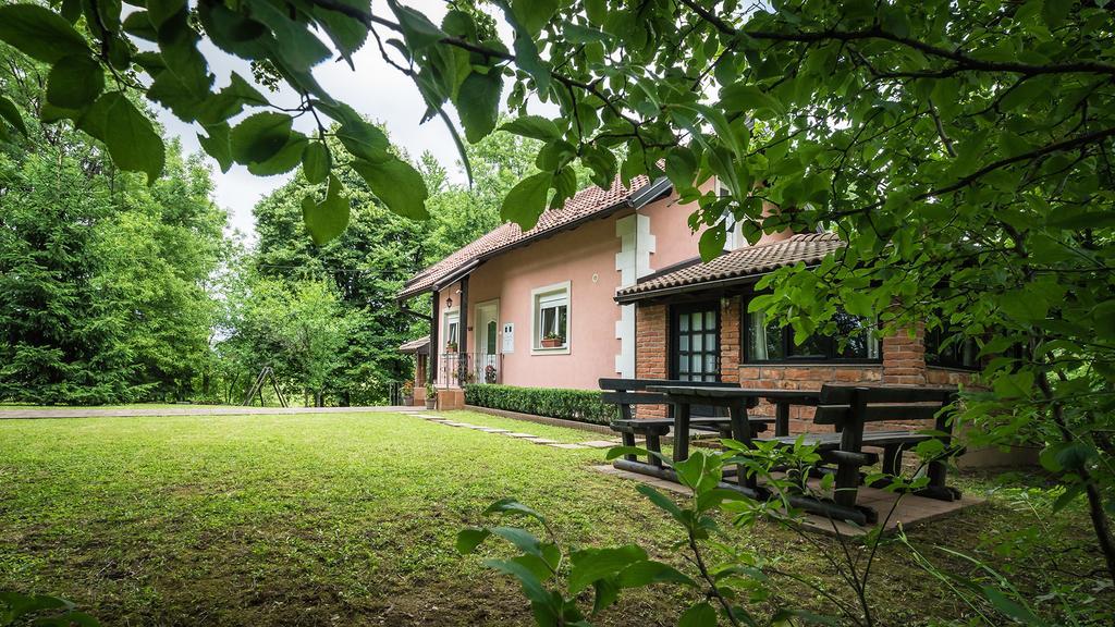 Hotel Nika Čatrnja Exteriér fotografie
