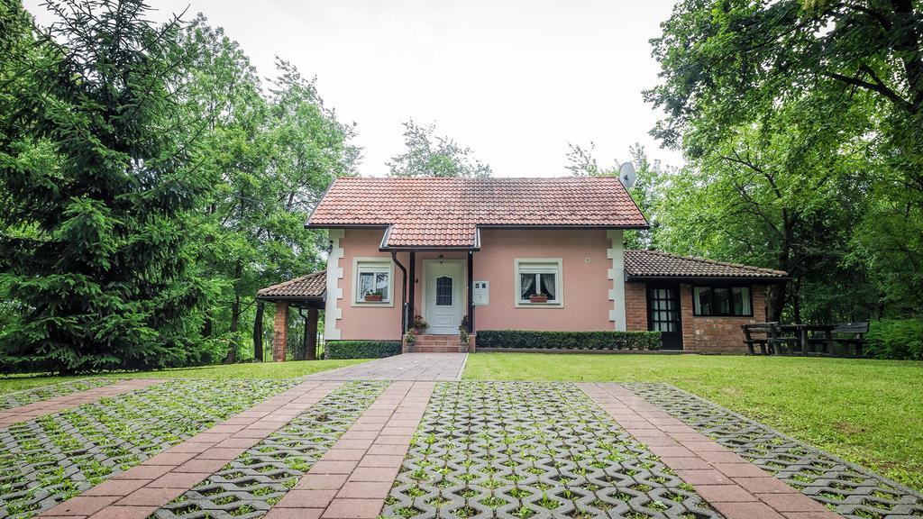 Hotel Nika Čatrnja Exteriér fotografie