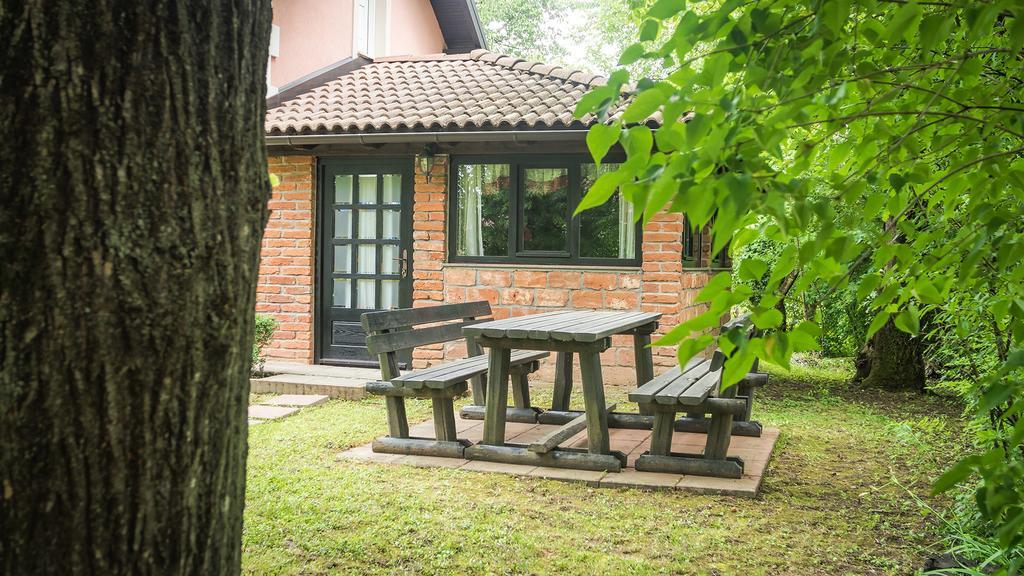 Hotel Nika Čatrnja Exteriér fotografie