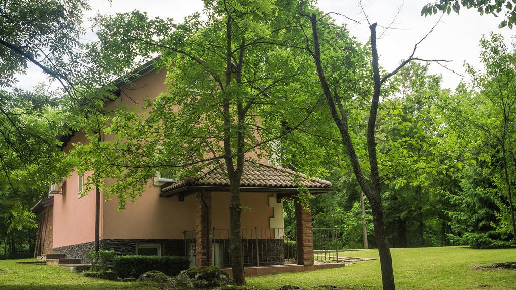 Hotel Nika Čatrnja Exteriér fotografie